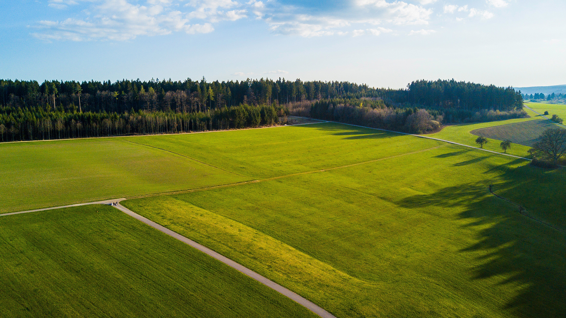 Ready-to-Cultivate Land